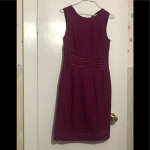 Banana Republic Fuchsia Dress
